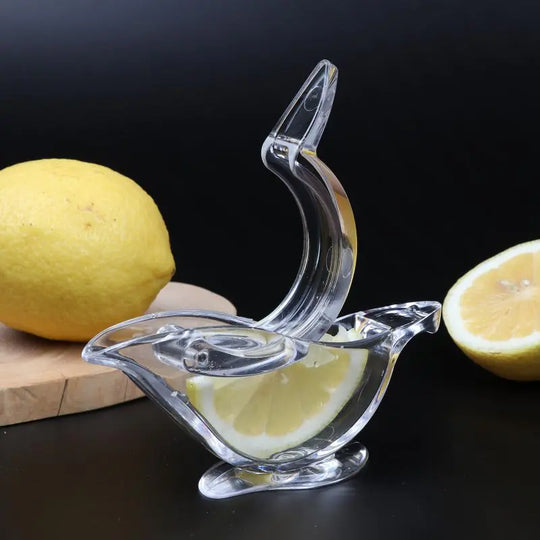 Fruit Mini Manual Juicer