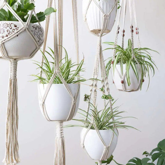 Macrame Plant Hangers