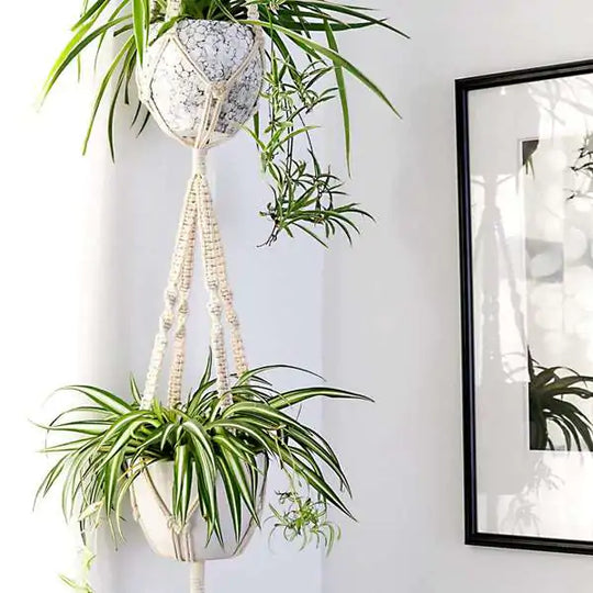 Macrame Plant Hangers